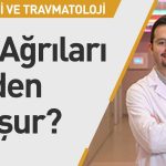diz agrilari neden olusur