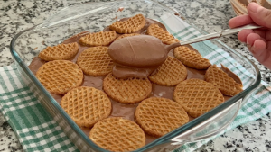 Burçak Yulaflı Bisküvili Pasta