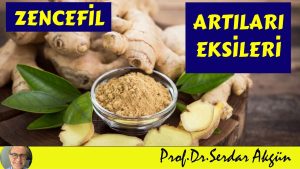 zencefilin sagliga faydalari zar