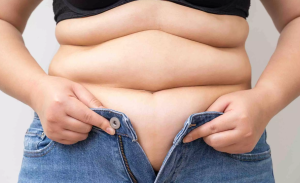 Viseral yağ (Göbek yağı) nedir