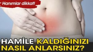 Hamileligin Erken Belirtileri